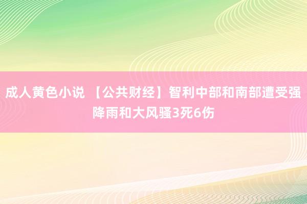 成人黄色小说 【公共财经】智利中部和南部遭受强降雨和大风骚3死6伤