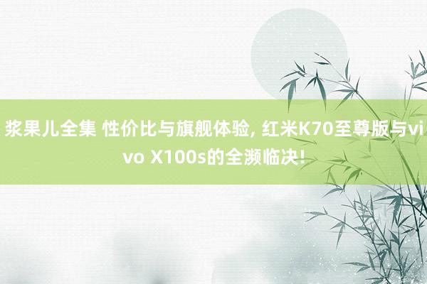 浆果儿全集 性价比与旗舰体验, 红米K70至尊版与vivo X100s的全濒临决!