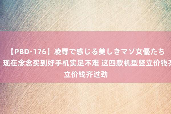 【PBD-176】凌辱で感じる美しきマゾ女優たち8時間 现在念念买到好手机实足不难 这四款机型竖立价钱齐过劲