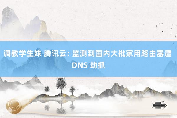 调教学生妹 腾讯云: 监测到国内大批家用路由器遭 DNS 劫抓