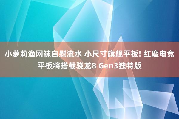 小萝莉渔网袜自慰流水 小尺寸旗舰平板! 红魔电竞平板将搭载骁龙8 Gen3独特版