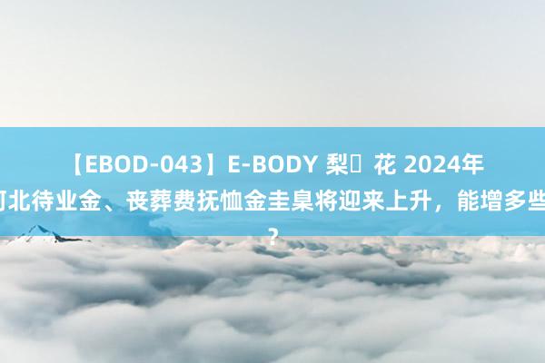 【EBOD-043】E-BODY 梨々花 2024年，河北待业金、丧葬费抚恤金圭臬将迎来上升，能增多些许？