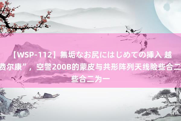 【WSP-112】無垢なお尻にはじめての挿入 越过“费尔康”，空警200B的蒙皮与共形阵列天线险些合二为一