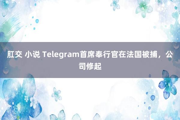 肛交 小说 Telegram首席奉行官在法国被捕，公司修起