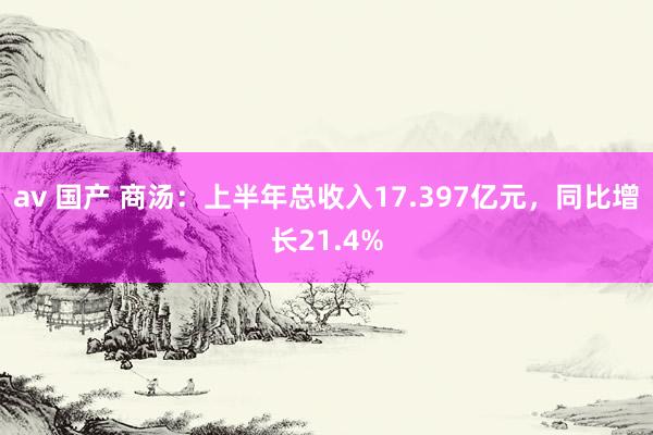 av 国产 商汤：上半年总收入17.397亿元，同比增长21.4%