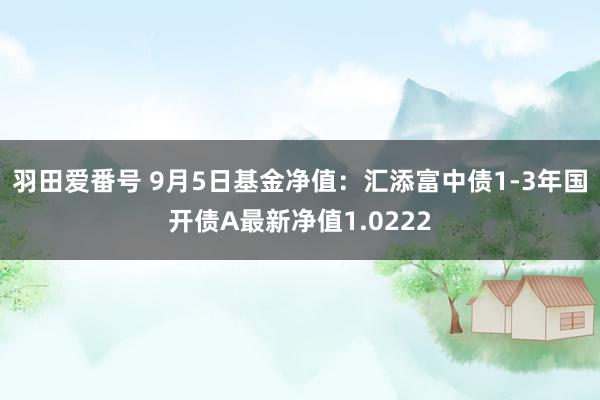 羽田爱番号 9月5日基金净值：汇添富中债1-3年国开债A最新净值1.0222