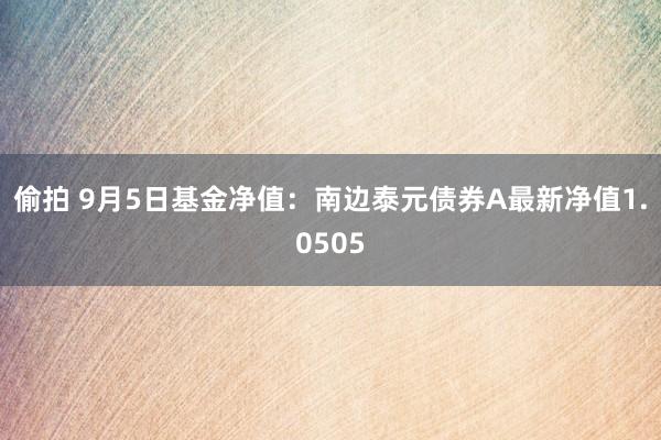 偷拍 9月5日基金净值：南边泰元债券A最新净值1.0505