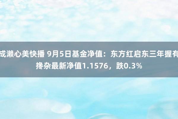 成濑心美快播 9月5日基金净值：东方红启东三年握有搀杂最新净值1.1576，跌0.3%