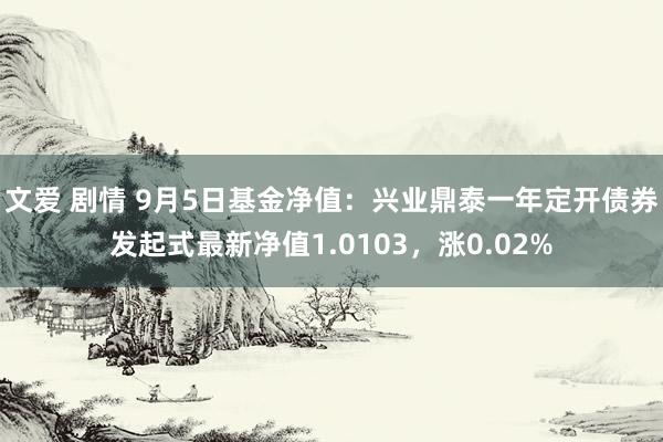 文爱 剧情 9月5日基金净值：兴业鼎泰一年定开债券发起式最新净值1.0103，涨0.02%