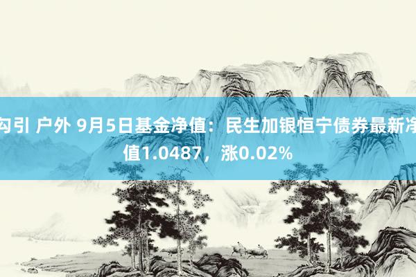 勾引 户外 9月5日基金净值：民生加银恒宁债券最新净值1.0487，涨0.02%