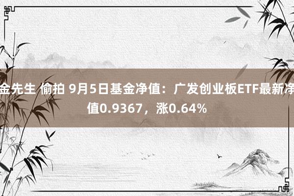 金先生 偷拍 9月5日基金净值：广发创业板ETF最新净值0.9367，涨0.64%