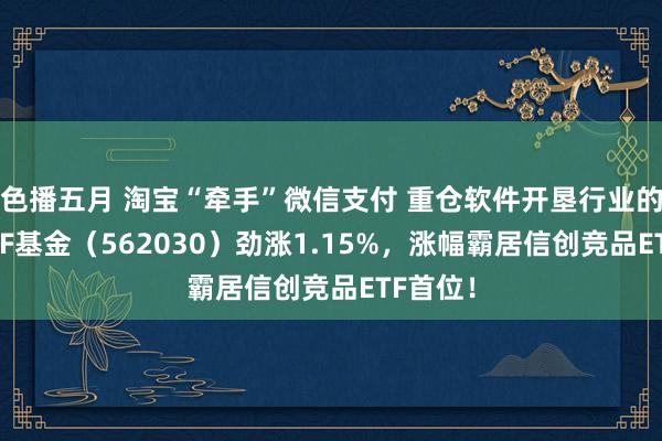 色播五月 淘宝“牵手”微信支付 重仓软件开垦行业的信创ETF基金（562030）劲涨1.15%，涨幅霸居信创竞品ETF首位！