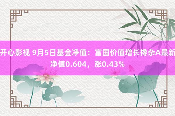 开心影视 9月5日基金净值：富国价值增长搀杂A最新净值0.604，涨0.43%