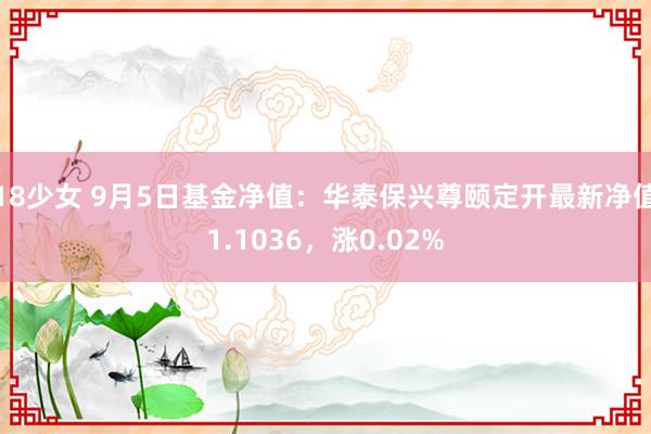 18少女 9月5日基金净值：华泰保兴尊颐定开最新净值1.1036，涨0.02%