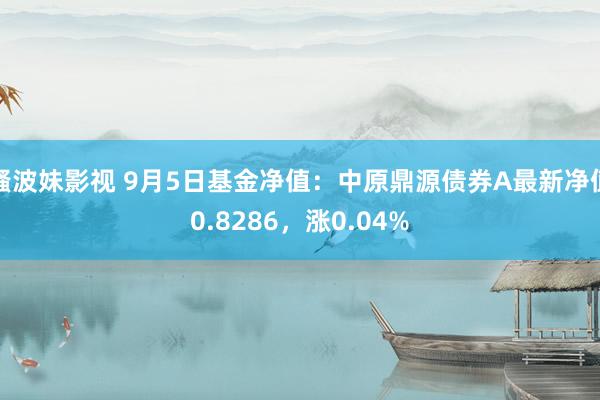 骚波妹影视 9月5日基金净值：中原鼎源债券A最新净值0.8286，涨0.04%