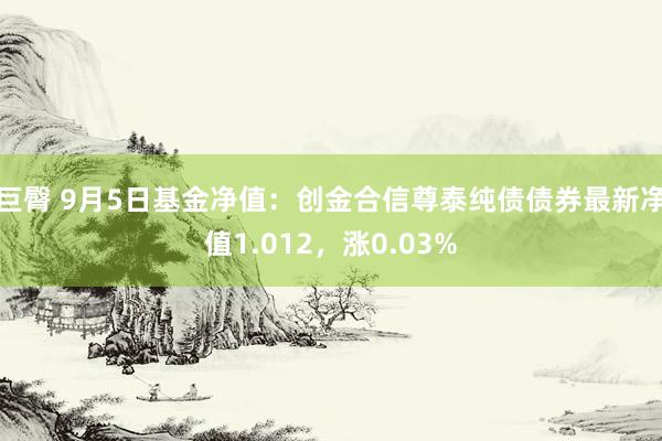 巨臀 9月5日基金净值：创金合信尊泰纯债债券最新净值1.012，涨0.03%