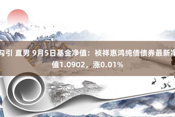 勾引 直男 9月5日基金净值：祯祥惠鸿纯债债券最新净值1.0902，涨0.01%