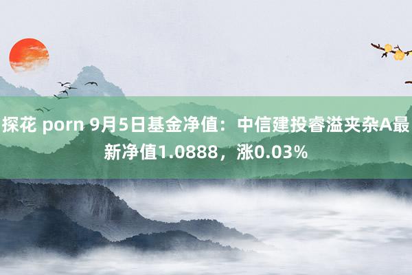 探花 porn 9月5日基金净值：中信建投睿溢夹杂A最新净值1.0888，涨0.03%