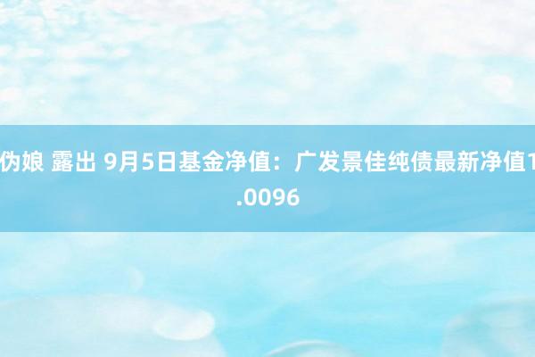 伪娘 露出 9月5日基金净值：广发景佳纯债最新净值1.0096