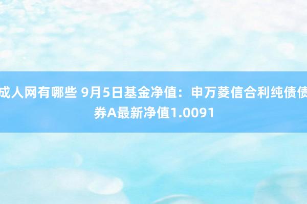 成人网有哪些 9月5日基金净值：申万菱信合利纯债债券A最新净值1.0091