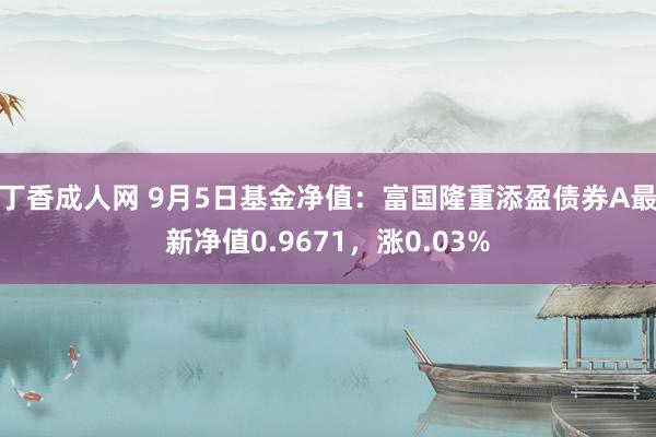 丁香成人网 9月5日基金净值：富国隆重添盈债券A最新净值0.9671，涨0.03%