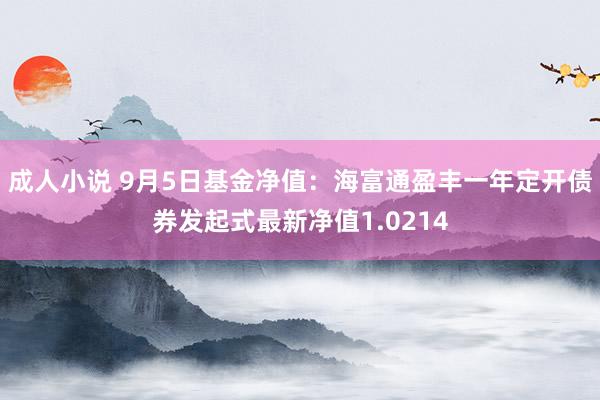 成人小说 9月5日基金净值：海富通盈丰一年定开债券发起式最新净值1.0214