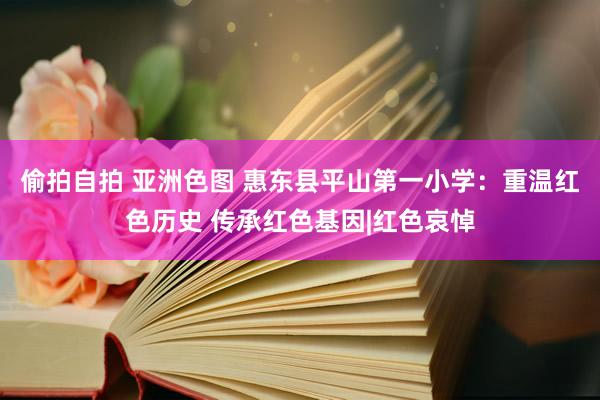 偷拍自拍 亚洲色图 惠东县平山第一小学：重温红色历史 传承红色基因|红色哀悼