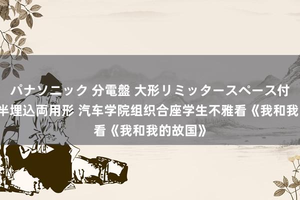 パナソニック 分電盤 大形リミッタースペース付 露出・半埋込両用形 汽车学院组织合座学生不雅看《我和我的故国》