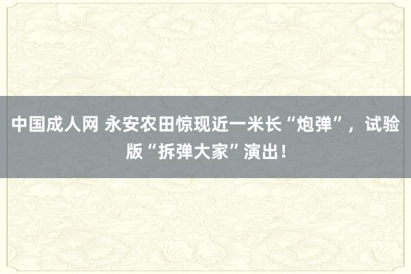 中国成人网 永安农田惊现近一米长“炮弹”，试验版“拆弹大家”演出！