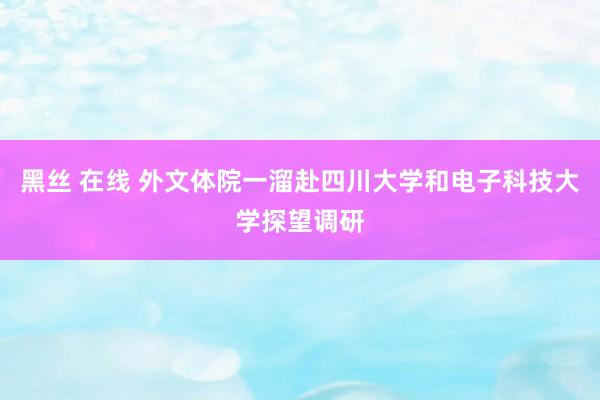 黑丝 在线 外文体院一溜赴四川大学和电子科技大学探望调研